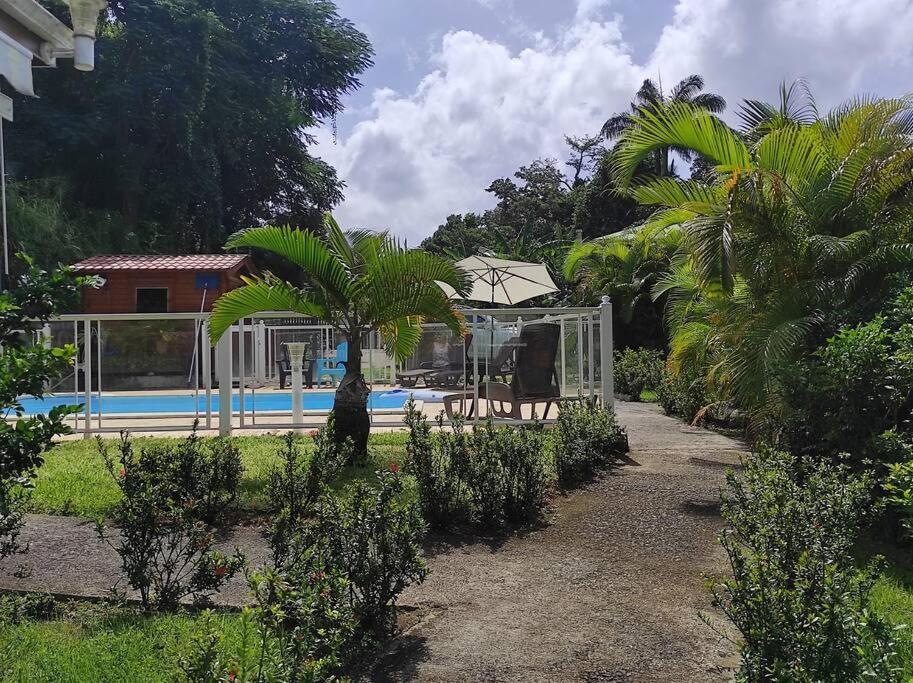 Le Tri Haut De Bellevue - Bungalow Heliconia Pointe-Noire Exteriér fotografie